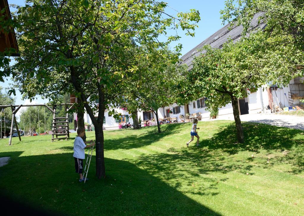 Weinbachbauer - Urlaub Am Bauernhof Villa Saint Wolfgang Kültér fotó