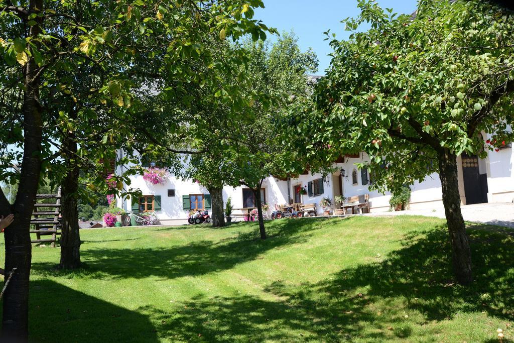 Weinbachbauer - Urlaub Am Bauernhof Villa Saint Wolfgang Kültér fotó