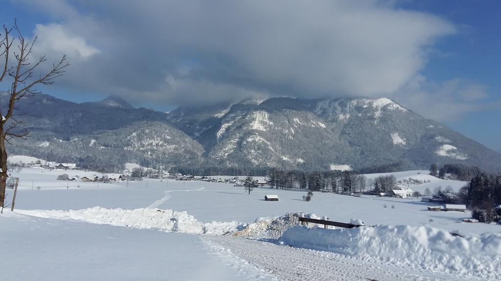 Weinbachbauer - Urlaub Am Bauernhof Villa Saint Wolfgang Kültér fotó