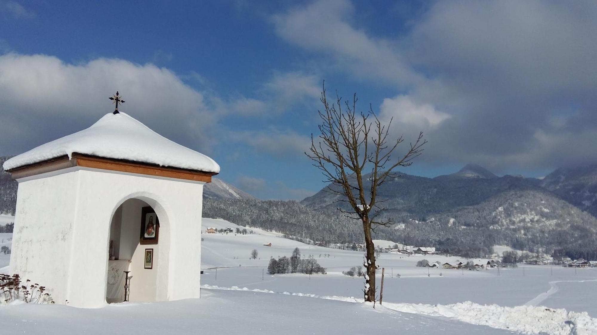 Weinbachbauer - Urlaub Am Bauernhof Villa Saint Wolfgang Kültér fotó