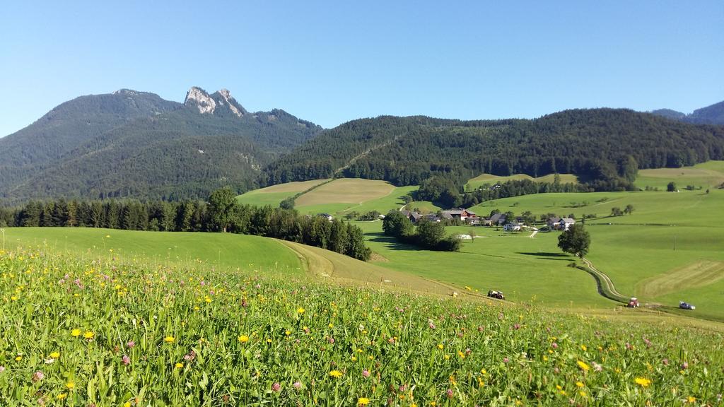 Weinbachbauer - Urlaub Am Bauernhof Villa Saint Wolfgang Kültér fotó