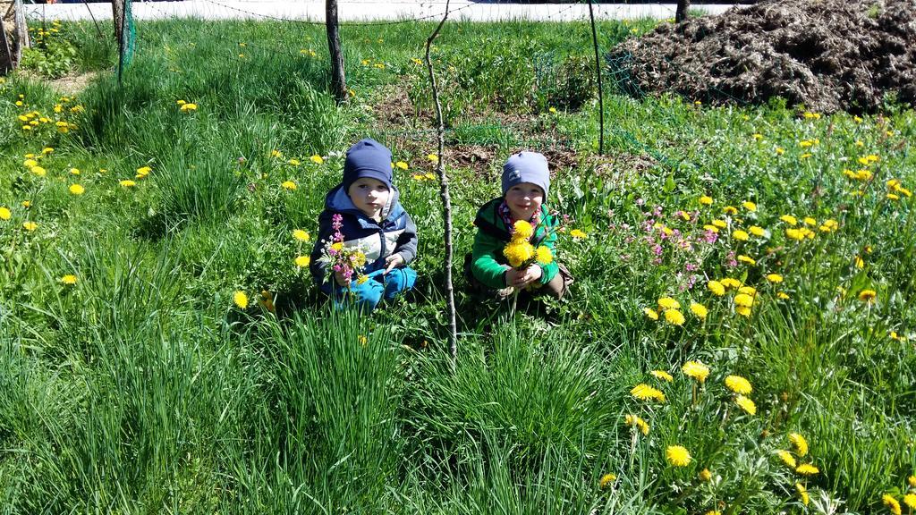 Weinbachbauer - Urlaub Am Bauernhof Villa Saint Wolfgang Kültér fotó